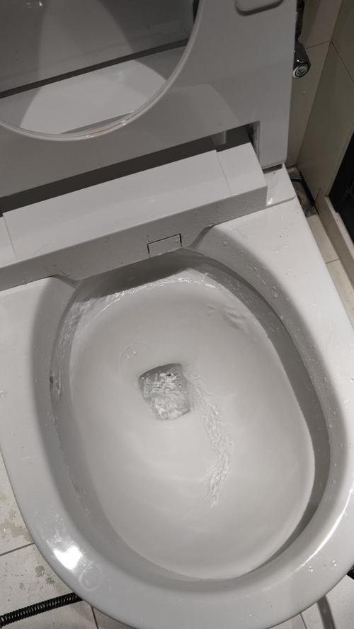 解决堵塞问题的有效方法（教你如何应对蹲式马桶堵塞情况）