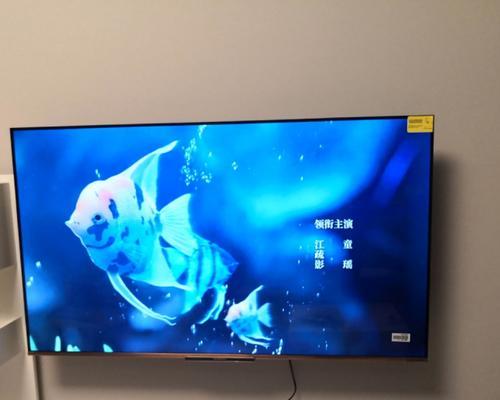 TCL电视无图像故障的原因及解决方法（解决TCL电视无图像故障的实用技巧）