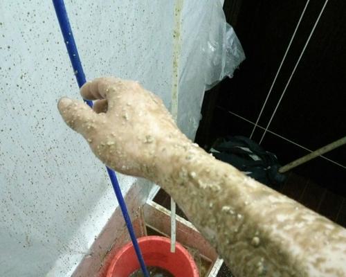 如何清理热水器内胆水垢（简单又有效的清洁方法）