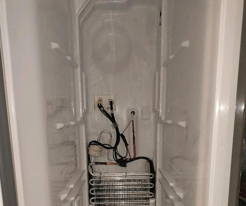 冰箱清洗指南（掌握冰箱清洗技巧）