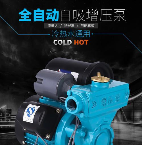 夏普热水器水泵故障检修指南（解决您家中夏普热水器水泵故障的简便方法）