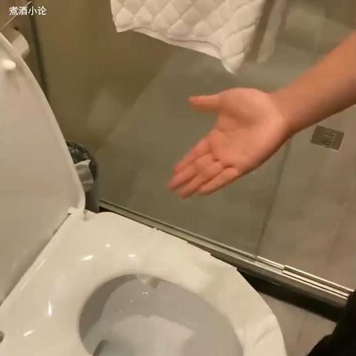 马桶被卫生纸堵住了怎么办（解决马桶堵塞的简便方法）