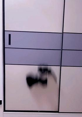 如何制作免费的gif动图？手机上有哪些好用的软件？