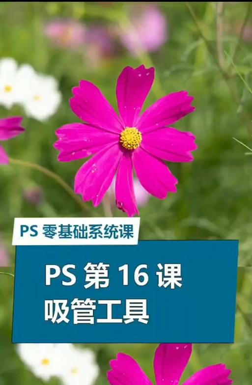 在photoshop吸管工具作用是什么？如何正确使用吸管工具？