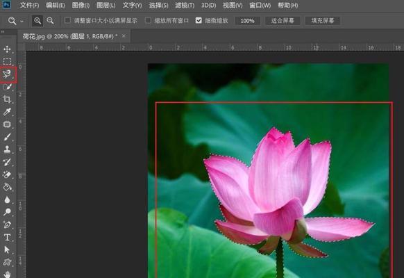 如何使用Photoshop的磁性套索工具？步骤详解是什么？