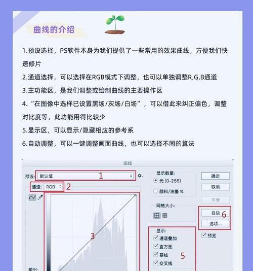 快速学会ps简单修图？有哪些步骤和技巧？