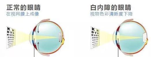 苹果笔记本3D视网膜显示功能如何使用？使用技巧是什么？