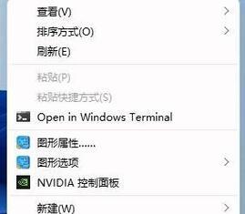 电脑桌面图标名称怎么取消？如何设置？
