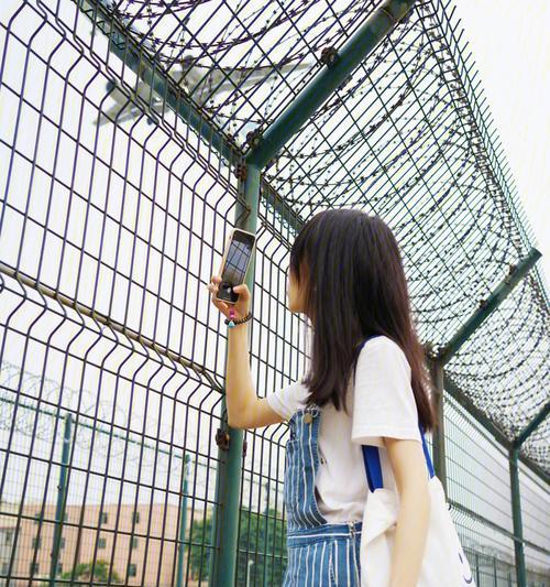 手机拍照如何实现近距离特写效果？