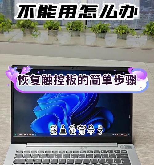 笔记本电脑触控板无法使用怎么办？