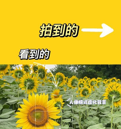 手机缩小镜头拍照清晰度如何保证？有哪些技巧？