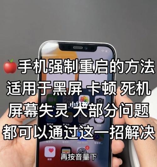 荣耀100手机拍照黑屏解决方法？