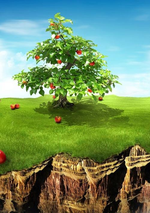 苹果手机树照片调整技巧是什么？