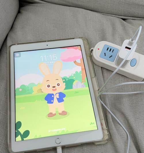 苹果充电器对插座有什么要求？如何正确使用？