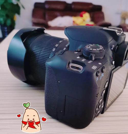 后背有多个镜头相机怎么拍？多镜头相机的拍摄技巧是什么？