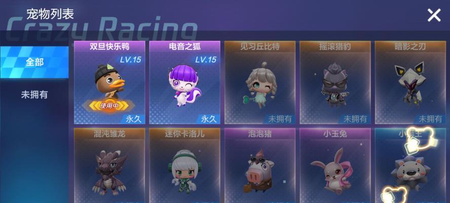 跑跑宠物服务器异常如何解决？