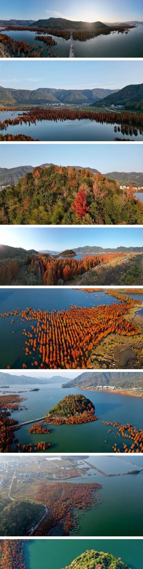 数码相机风景拍摄高清设置方法是什么？