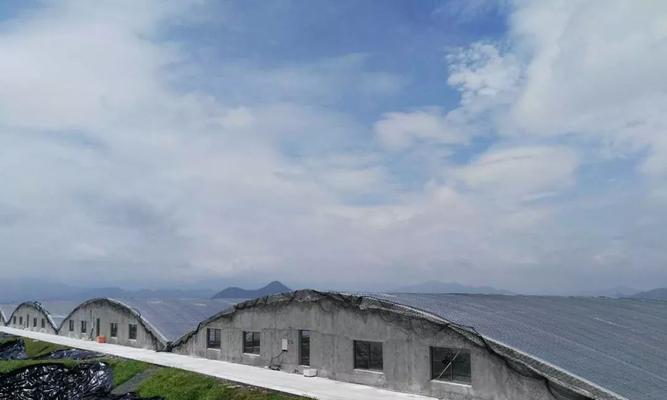 养虾场关闭电源的原因是什么？