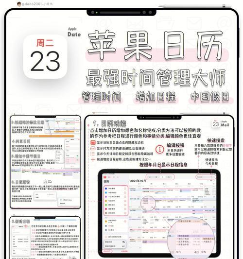苹果电脑使用芯象直播的步骤？
