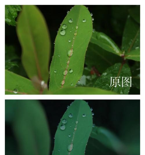 佳能k值降低方法是什么？降低后对画质有何影响？