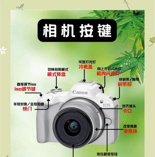 佳能r50肩带调节方法是什么？调节后如何确保舒适性？