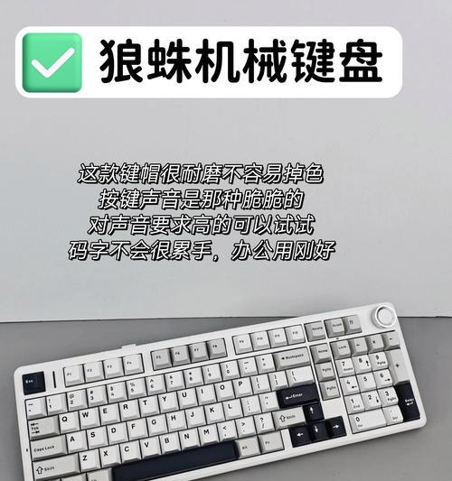键盘打英语时应使用哪款软件？