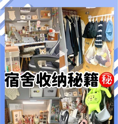 宿舍收纳数据线的技巧有哪些？如何保持整洁？