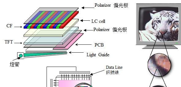 有哪些适合电视使用的看画软件？它们的功能特点是什么？