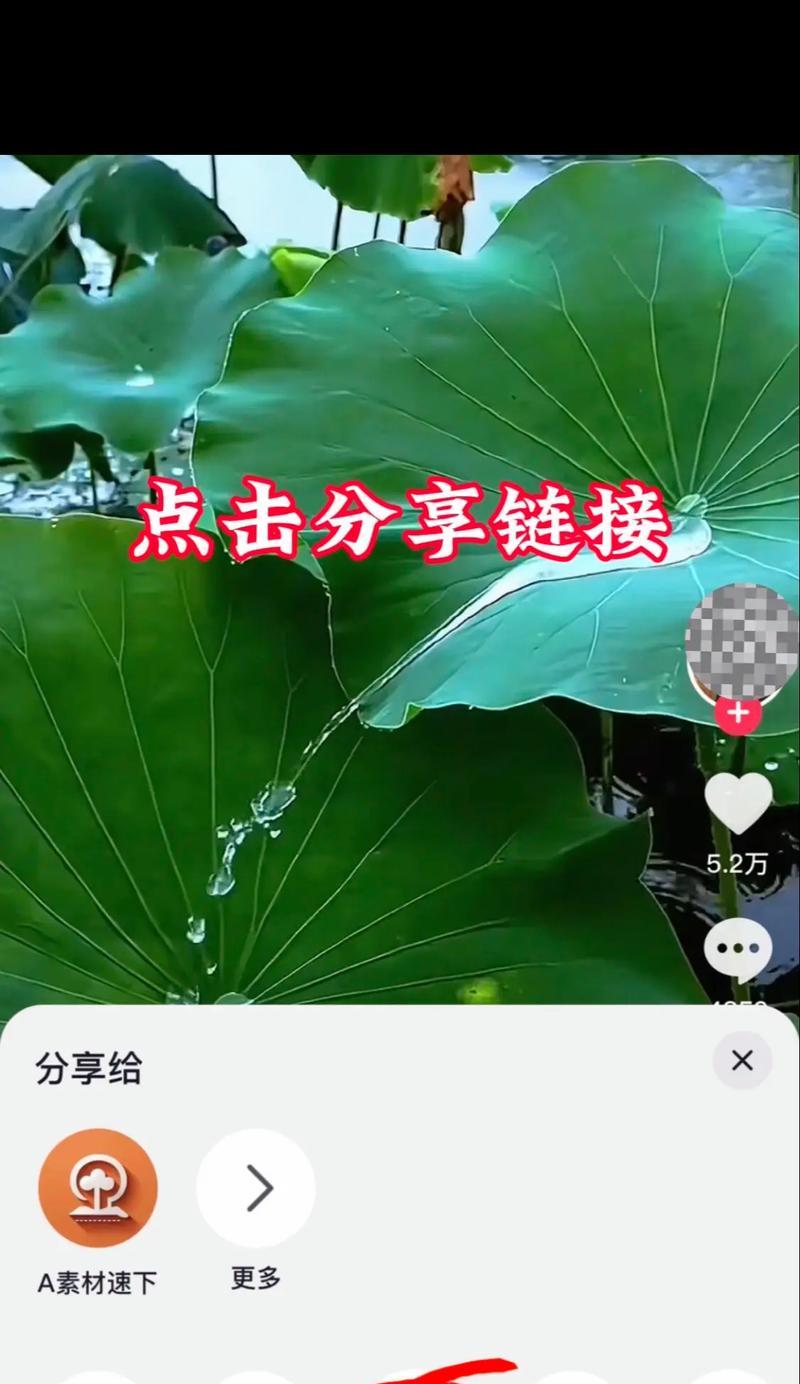 抖音视频链接提取教程（详解如何快速复制抖音视频链接）